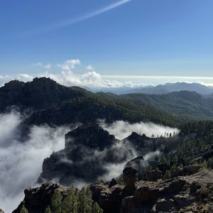 Meet your Posher, Nicky